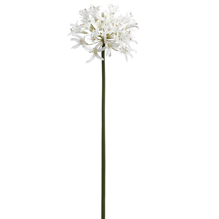 32" Silk Agapanthus Flower Stem -White (pack of 12) - FSA852-WH