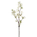 36" Cherry Blossom Silk Flower Stem -Cream (pack of 12) - FSB013-CR