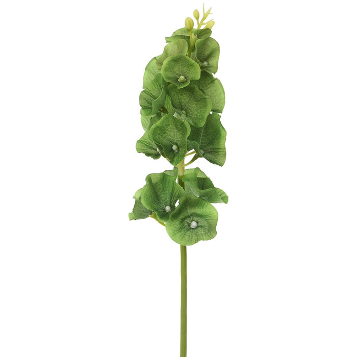16" Silk Bells Of Ireland Flower Stem -Green (pack of 12) - FSB017-GR