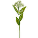 24" Outdoor UV-Resistant Artificial Meadow Flower Stem -Cream (Pack of 12) - FSB027-CR