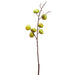 36" Artificial Persimmon Fruit Stem -Green (Pack of 8) - FSB115-GR