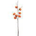 36" Artificial Persimmon Fruit Stem -Dark Orange (Pack of 8) - FSB115-OR/DK