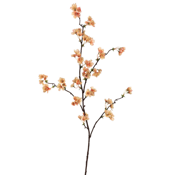 36" Silk Quince Blossom Flower Spray -Apricot/Peach (pack of 12) - FSB166-AP/PE