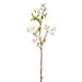 22" Silk Pear Blossom Flower Stem -Blush (pack of 12) - FSB172-BS