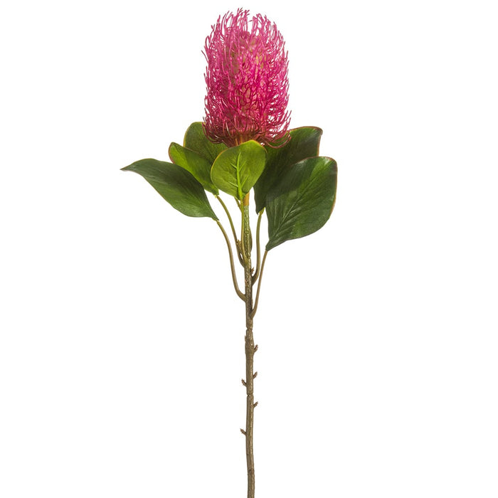 22" Artificial Banksia Protea Flower Stem -2 Tone Cerise (pack of 12) - FSB211-CE/TT