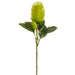 22" Artificial Banksia Protea Flower Stem -Green (pack of 12) - FSB211-GR