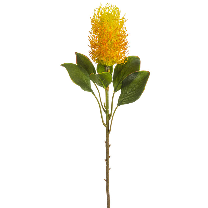 22" Artificial Banksia Protea Flower Stem -Orange (pack of 12) - FSB211-OR