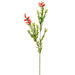 33.5" Bottle Brush Artificial Flower Stem -Red/Green (pack of 12) - FSB213-GR/RE