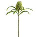24" Artificial Banksia Protea Flower Stem -Green/Gray (pack of 12) - FSB217-GR/GY