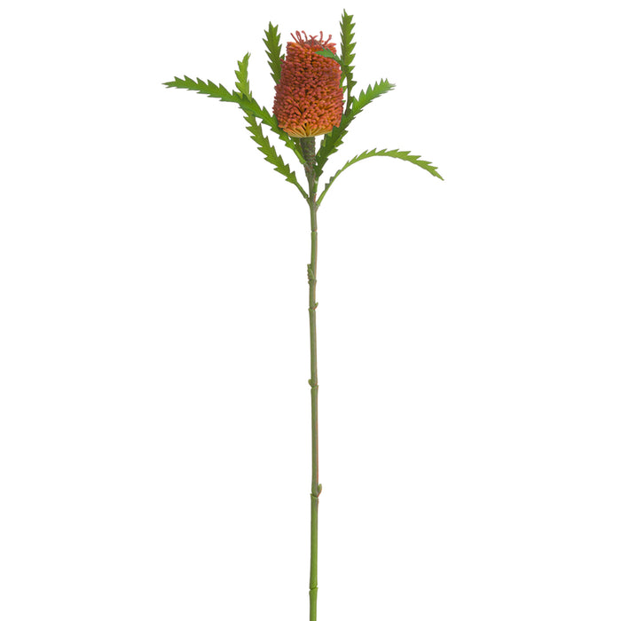 24" Artificial Banksia Protea Flower Stem -Orange/Rust (pack of 12) - FSB217-OR/RU