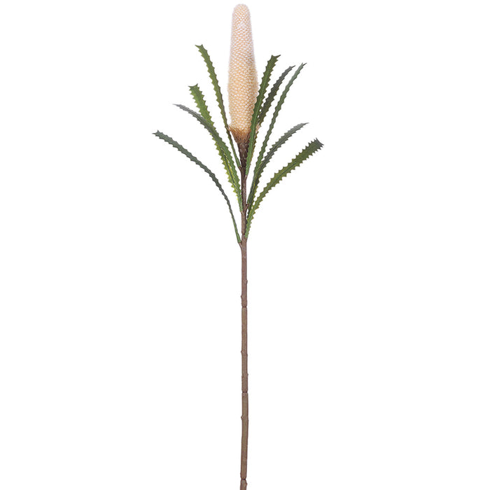 29" Artificial Banksia Protea Flower Stem -Cream (pack of 12) - FSB248-CR