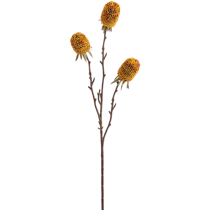 29" Banksia Protea Artificial Flower Stem -Amber (Pack of 12) - FSB291-AM