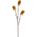 29" Banksia Protea Artificial Flower Stem -Amber (Pack of 12) - FSB291-AM