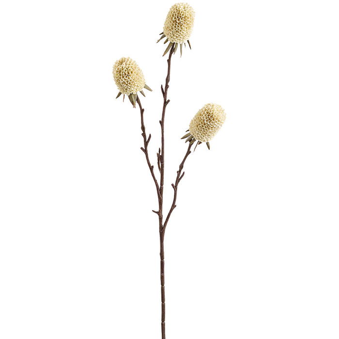 29" Banksia Protea Artificial Flower Stem -Cream (Pack of 12) - FSB291-CR