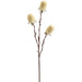 29" Banksia Protea Artificial Flower Stem -Cream (Pack of 12) - FSB291-CR