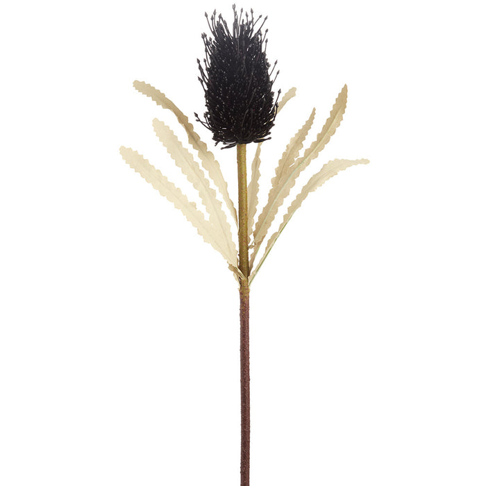 27" Banksia Protea Artificial Flower Stem -Black (Pack of 12) - FSB306-BK