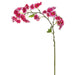 31" Silk Cherry Blossom Flower Stem -Beauty (pack of 12) - FSB314-BT