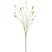 34" Artificial Burnet Flower Stem -Green (pack of 12) - FSB333-GR