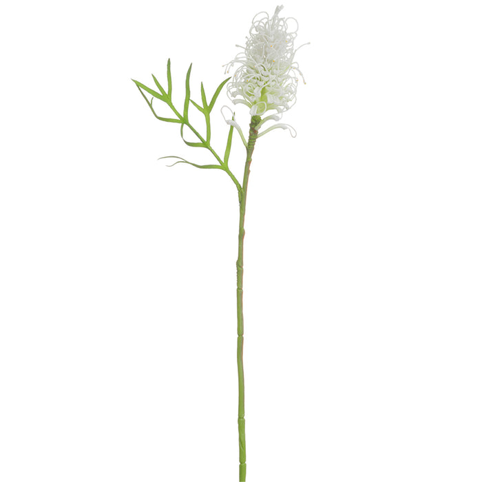 25" Artificial Grevillea Banksii Protea Flower Stem -White/Green (pack of 12) - FSB334-WH/GR