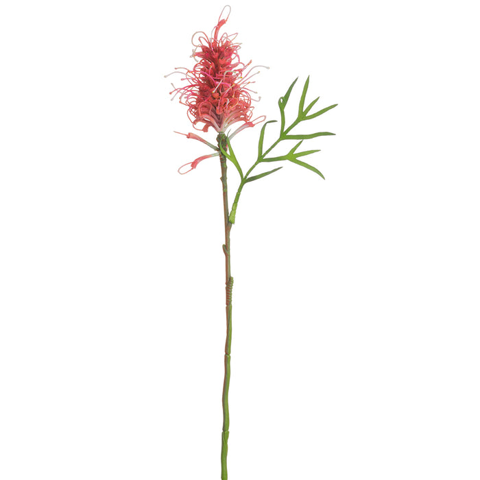 25" Artificial Grevillea Banksia Protea Flower Stem -Wine (pack of 12) - FSB334-WI