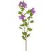 36" Bauhinia Hong Kong Orchid Silk Flower Stem -Boysenberry (Pack of 12) - FSB340-BB