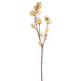 36" Silk Pear Blossom Flower Stem -Cream (pack of 12) - FSB399-CR