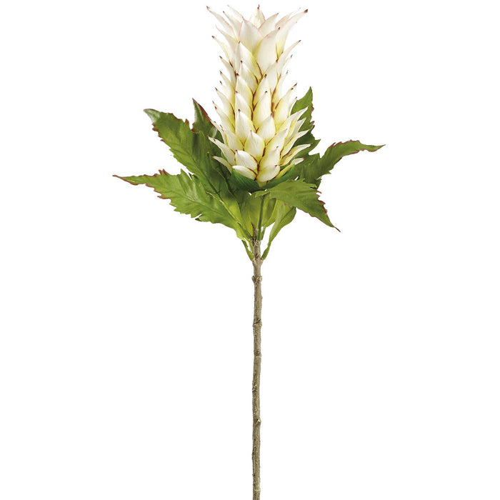 30" Bromeliad Artificial Flower Stem -White/Green (Pack of 12) - FSB409-WH/GR