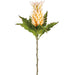 30" Bromeliad Artificial Flower Stem -Light Yellow (Pack of 12) - FSB409-YE/LT