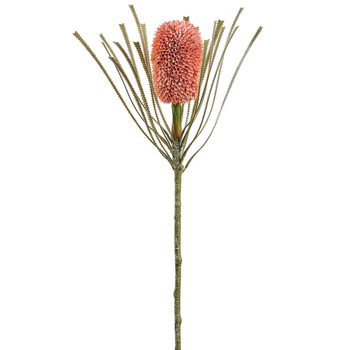 28" Banksia Protea Artificial Flower Stem -Coral (Pack of 12) - FSB413-CO
