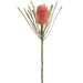 28" Banksia Protea Artificial Flower Stem -Coral (Pack of 12) - FSB413-CO