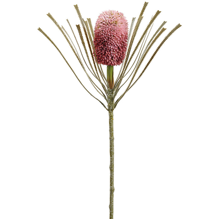 28" Banksia Protea Artificial Flower Stem -Pink/Mauve (Pack of 12) - FSB413-PK/MV
