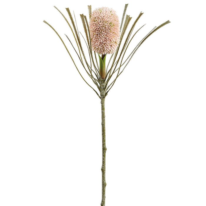 28" Banksia Protea Artificial Flower Stem -Soft Pink (Pack of 12) - FSB413-PK/SO