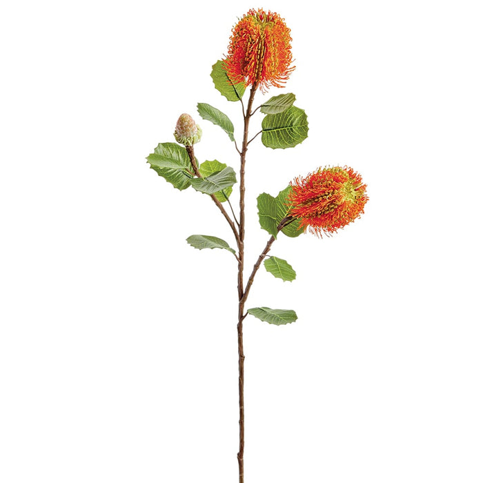 28" Banksia Protea Silk Flower Stem -Orange (pack of 12) - FSB432-OR