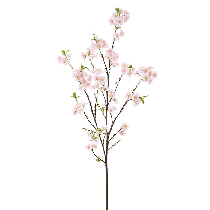 66" Cherry Blossom Silk Flower Stem -Blush (Pack of 8) - FSB445-BS