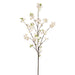 66" Cherry Blossom Silk Flower Stem -Cream (Pack of 8) - FSB445-CR