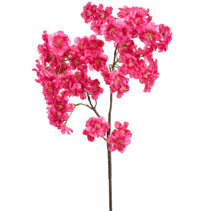 30" Cherry Blossom Silk Flower Stem -Beauty (Pack of 8) - FSB450-BT