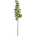 36.5" Artificial Crabapple Fruit Stem -Green (Pack of 12) - FSB475-GR