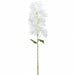 48.5" Bougainvillea Silk Flower Stem -White (Pack of 6) - FSB485-WH