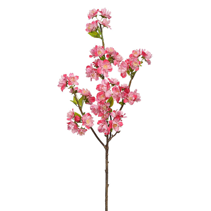 30" Real Touch Silk Cherry Blossom Flower Stem -Beauty (pack of 12) - FSB536-BT