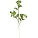 30.5" Artificial Crabapple Fruit Stem -Green (Pack of 12) - FSB541-GR