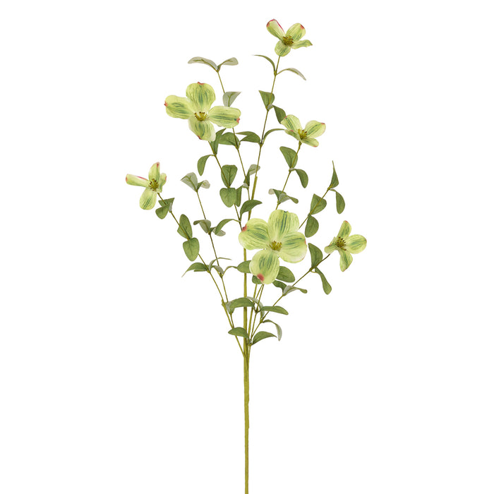 34" Silk Dogwood Blossom Flower Stem -Green (Pack of 12) - FSB553-GR