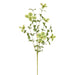 34" Silk Dogwood Blossom Flower Stem -Green (Pack of 12) - FSB553-GR