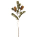 26" Artificial Banksia Protea Flower Stem -Beige/Green (Pack of 12) - FSB666-BR