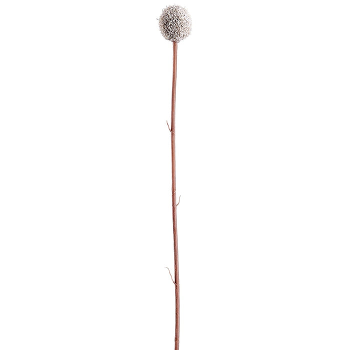 28" Faux Billy Button Craspedia Flower Stem -White (Pack of 12) - FSB669-WH