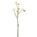 24" Silk Cherry Blossom Flower Stem -White (pack of 12) - FSB687-WH