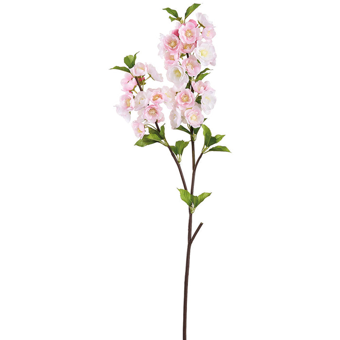 33" Cherry Blossom Silk Flower Stem -Cream/Pink (Pack of 12) - FSB742-CR/PK