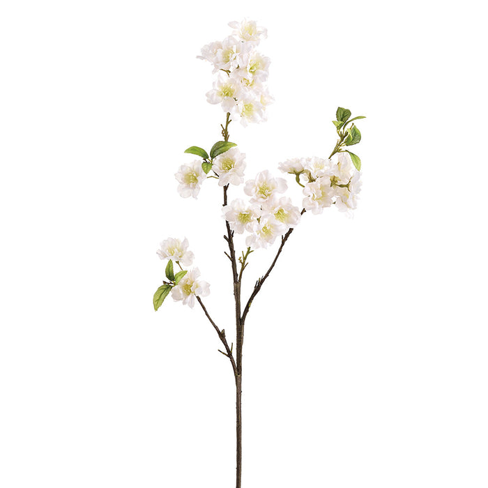 28.5" Cherry Blossom Silk Flower Stem -Cream (Pack of 12) - FSB748-CR