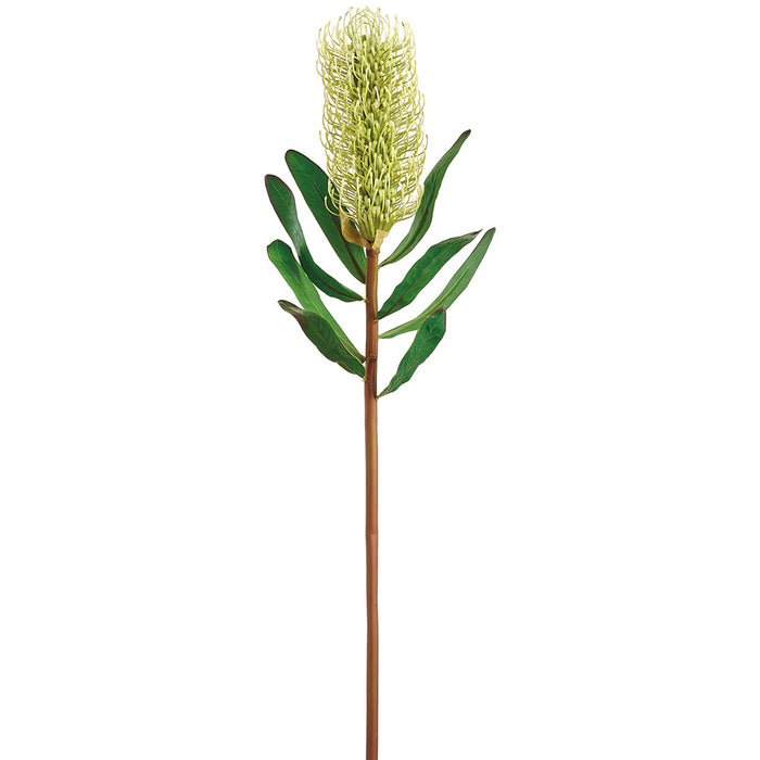30" Artificial Banksia Protea Flower Stem -Green (Pack of 12) - FSB784-GR