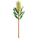 30" Artificial Banksia Protea Flower Stem -Green (Pack of 12) - FSB784-GR