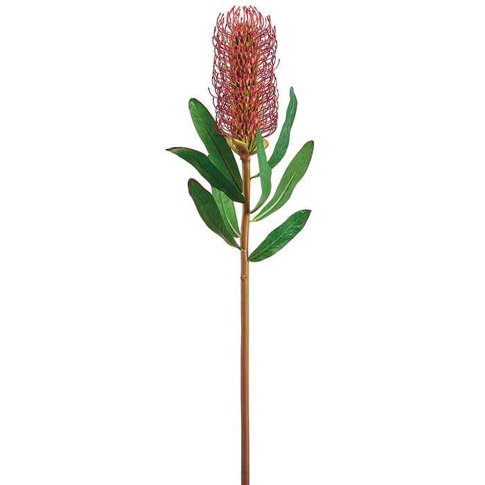 30" Artificial Banksia Protea Flower Stem -Red/Burgundy (Pack of 12) - FSB784-RE/BU